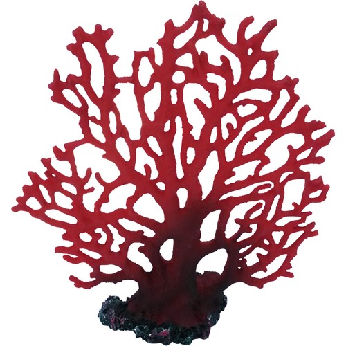 Red fern fan coral - fern,