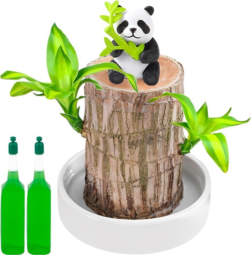 Brazilian wood plant - wood, bamboo