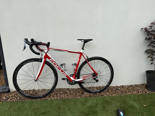 Focus cayo evo carbon - cayo,