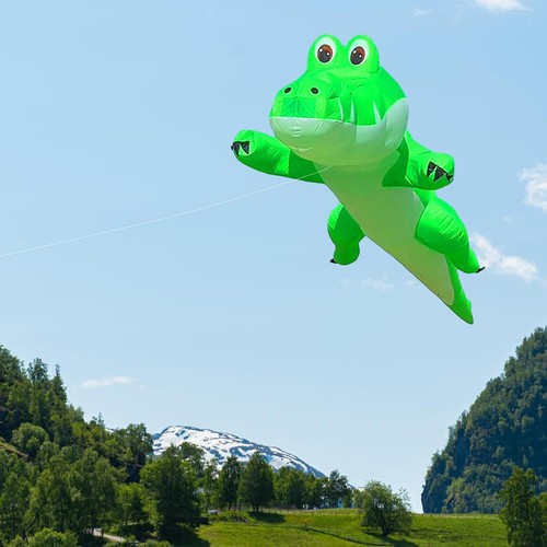 Kite for kids adults - kite,