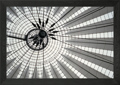 Roof the sony - the,