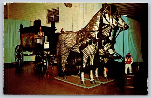 Postcard horse drawn - postcard, hearse