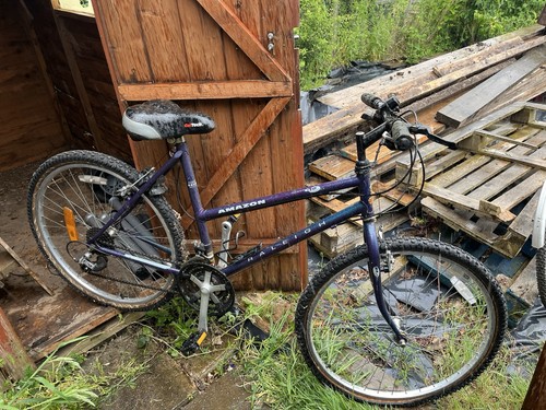 Women bike - women’s,