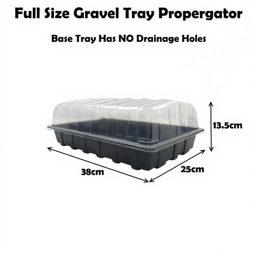 Seed tray and lid propagator - tray,