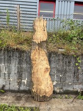 Final Pieces Of The Burr Oak!! Prices In Description, Waney, Rare, Large, Rustic