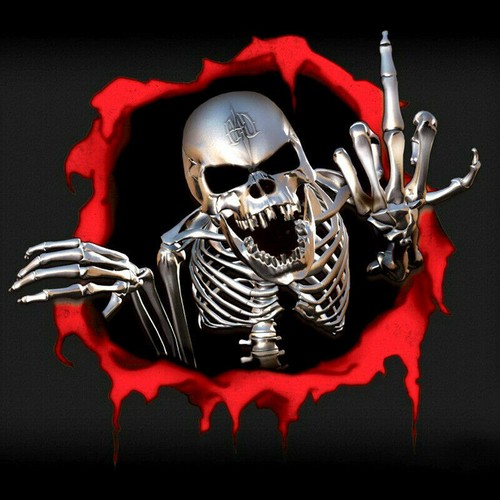 Metal skeleton skull - 3d,