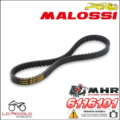 6116101 belt malossi - belt,