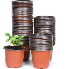 50X Plant Nursery Pot Full