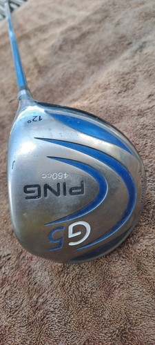 Golf women ladies club - golf,