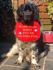 BIG DOG NEWFOUNDLAND ST