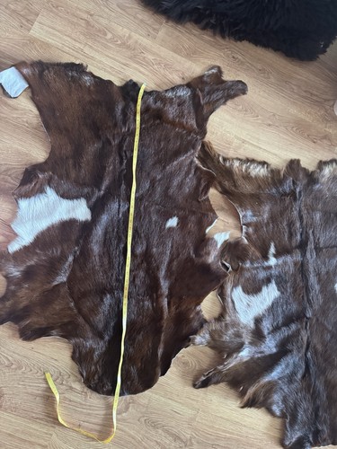 Goat skin rugs - goat,