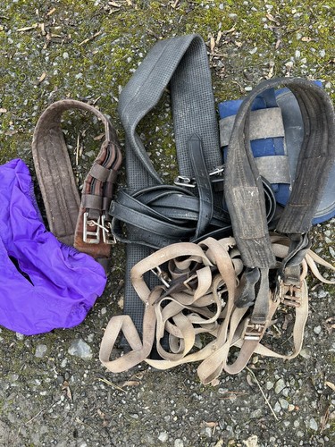 Job lot equestrian - of, items
