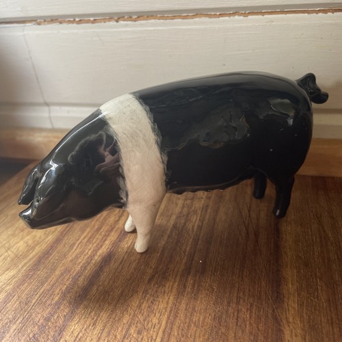 Beswick wessex saddleback - wessex,