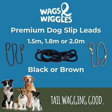 Premium Slip Lead for Medium