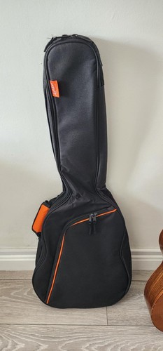 Ashton guitar case - ashton,