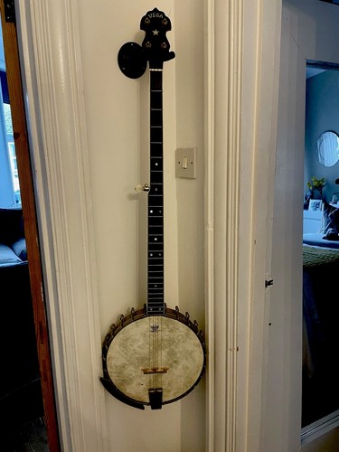 Deering vega long neck - vega,
