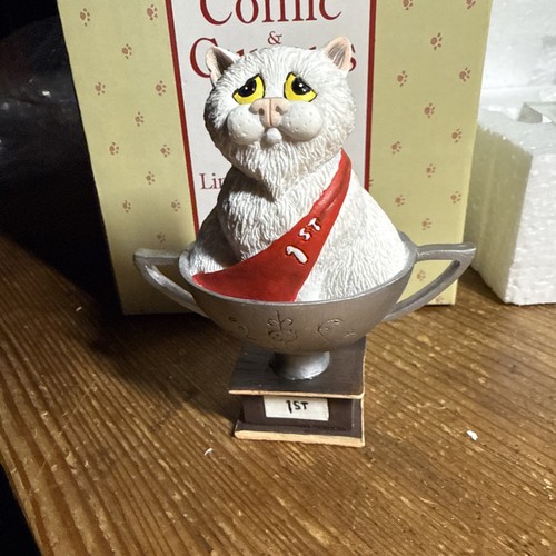 Comic curious cats simply - curious,