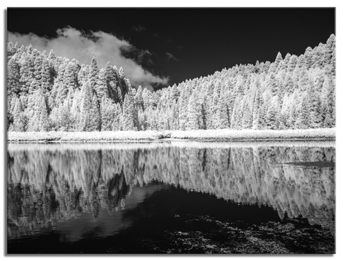 Converted 850nm infrared - infrared, ir