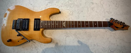 Dean custom 350 - custom,
