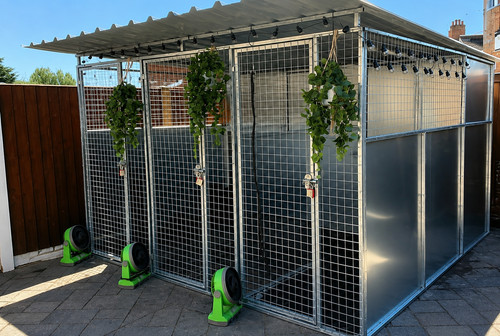 Galvanised dog run kennel - dog,