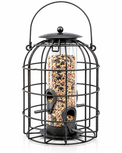Large squirrel proof seed - large, squirrel-proof