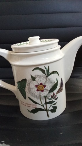 Portmeirion botanic garden - portmeirion, tea