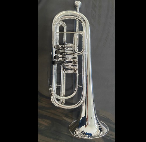 Professional silver plated - professional,