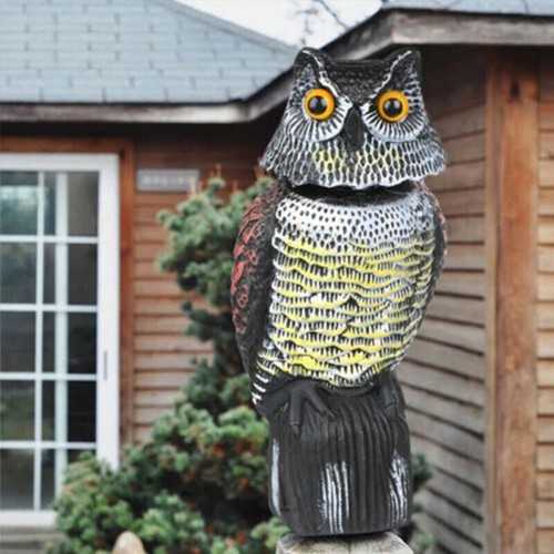 Realistic owl decoy - decoy, deterrent