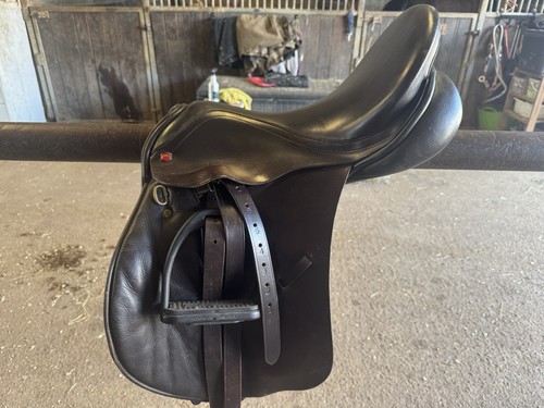 Albion adjusta brown 17 - k2, gp