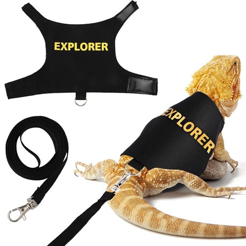 Bearded dragon harness and - bearded,