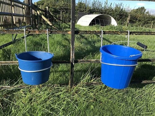 Bucket and hanger - 5l,
