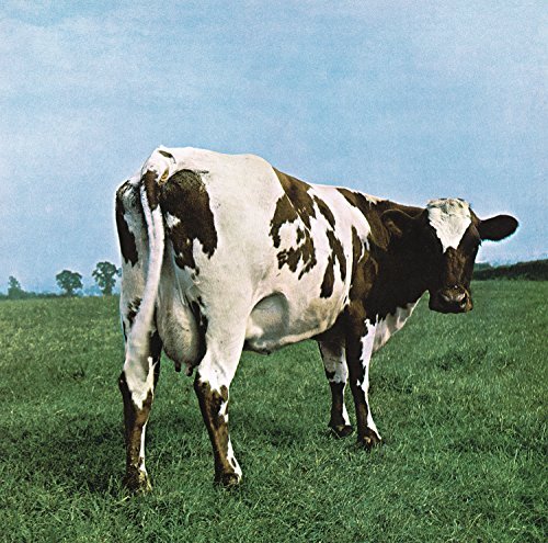 Pink floyd atom heart mother - pink,