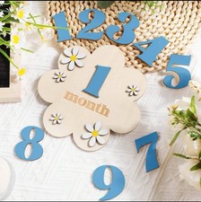 Wooden Baby Milestone Disc Set
