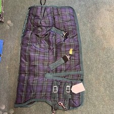 Half Neck Foal Or Shetty