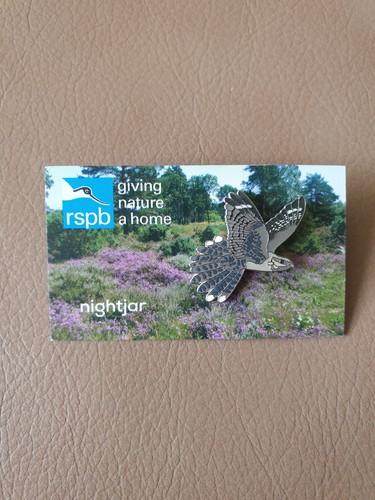 Rspb nightjar enamel pin - pin, badge