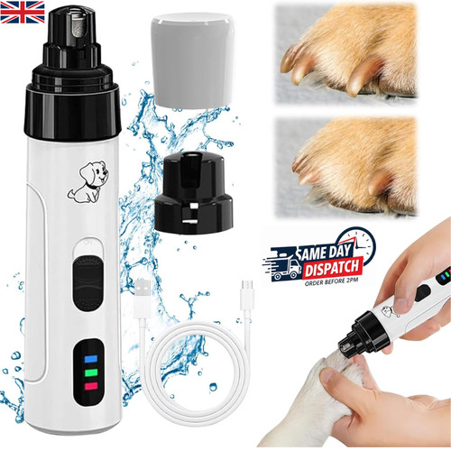 Pet dog cat - pet, grooming