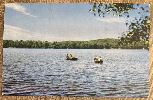 Vintage chrome postcard - vintage,