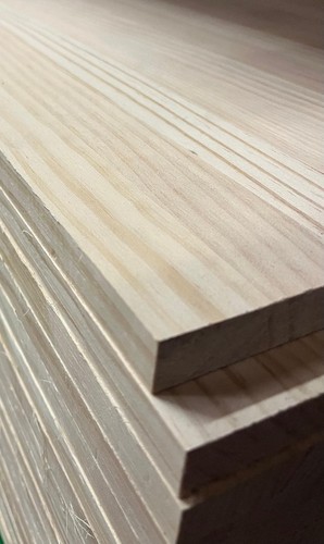 Radiata knotless pine - pine, to