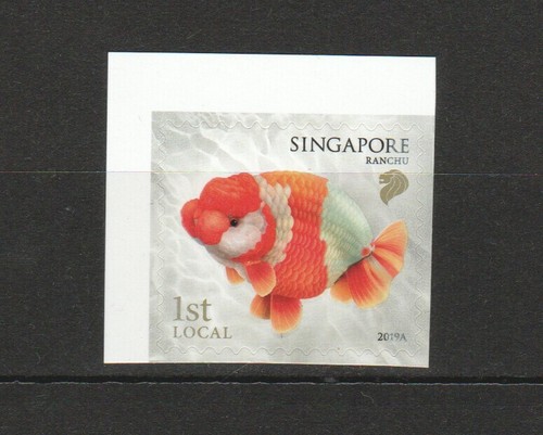 Singapore 2019 goldfish 1st - 2019,