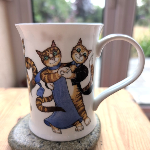 Dunoon strictly cat dancing - dunoon,