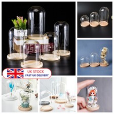 UK Glass Display Dome Bell Jar