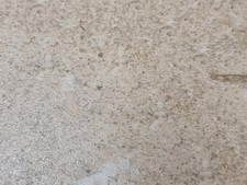 Limestone Polished Porcelain