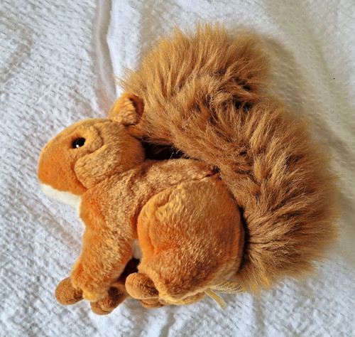 Red squirrel plush soft toy - squirrel,