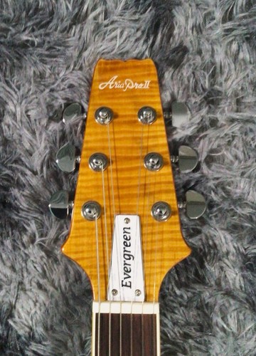 Aria pro ae200 yg - ii, pe-ae200