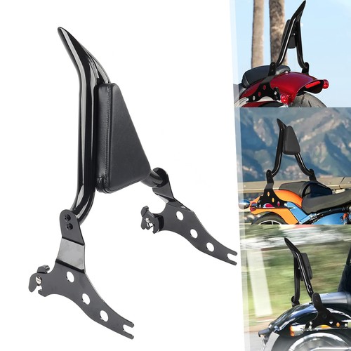 Sissy bar passenger backrest - bar,
