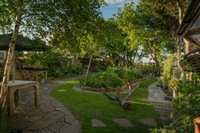 Thriving well rooted - thriving,