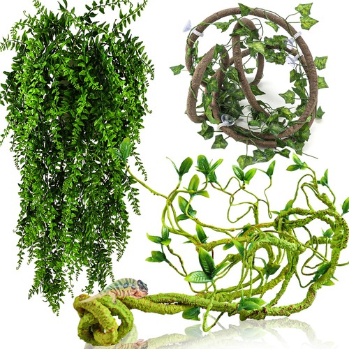 Hercocci reptile vines - hercocci,