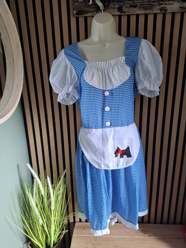 Dorothy adults costume world