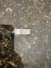 Tiffany Co. Women’s Band