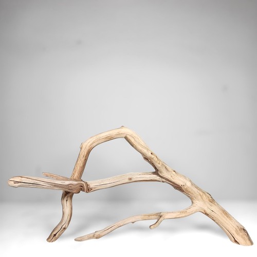 Manzanita driftwood - 21",